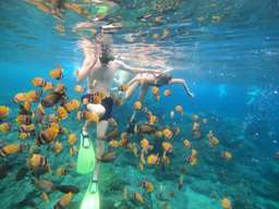 Private Guided Snorkeling Trip in Nusa Penida