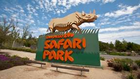 San Diego Zoo Safari Park Admission Ticket | California