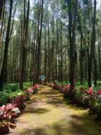 BEJI ANANTHABOGA TEMPLE RELIGIOUS TOURISM (4 Pax)