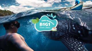 Cebu Day Tour : Oslob Whale Shark Watching and Tumalog Falls | Philippines, ₱ 7,727.70