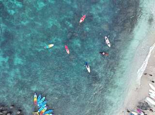 Taiwan Xiaoliuqiu｜Bear Diving SUP Stand Up Paddle Experience｜Parent-Child Activities｜Bonus Activity Photo Shooting