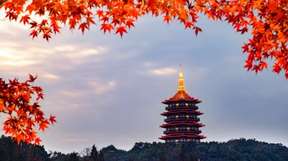 Hangzhou Day Tour to West Lake, Lingyin Temple, Leifeng Pagoda, Longjing tea fields