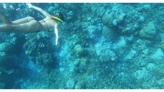 Gili Trawangan Snorkeling Trip by Private Boat , Rp 750.000