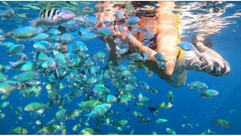 Gili Trawangan Snorkeling Trip by Private Boat 4