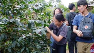Coffee Tour Danau Toba, RM 470