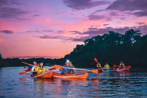 Mangrove Canoe Adventure : A Canoe Tour by Day or Evening 