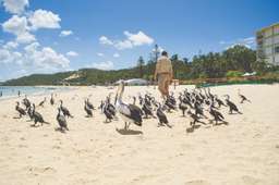 ทริปล่องเรือชมชายหาดแทงกาลูมาพร้อมบริการรับส่งด้วยรถบัสจากโกลด์โคสต์, THB 4,232.90