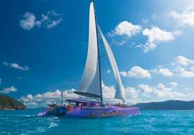 [Eco Tour] Camira Sailing Adventure by Cruise Whitsundays| Queensland