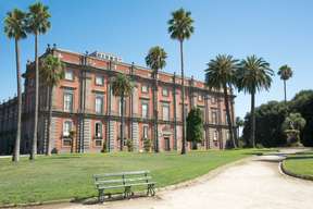 Entrance to the Museum of Capodimonte with Pemcards Postcard