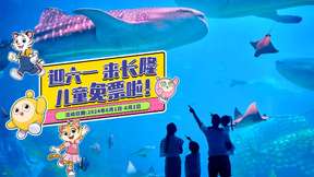 Zhuhai Chimelong Ocean Kingdom Ticket