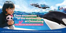 [Trung Quốc] Vé Vương Quốc Đại Dương Chimelong Chu Hải, 3.785.366 VND