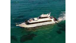 Lembongan Day Cruise – Exclusive 1 day Adventure, AUD 119.10