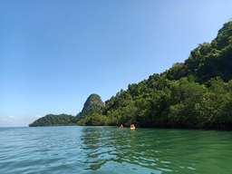 Kayaking Adventure & Jungle Pool Swimming Tour