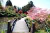 Take a walk across this incredible bridge