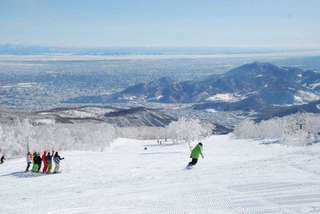 Traveloka Hokkaido 1-Day Ski Tour | Teine Skiing Lesson Day | Includes ski equipment, round-trip shuttle bus, Chinese-speaking ski instructor, and free photography service | Optional Self-Study Package (Guaranteed Departure for Solo Traveler from Sapporo)