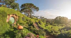 Tour Ngày Hobbiton kèm Bữa trưa Khởi hành Từ Auckland | New Zealand