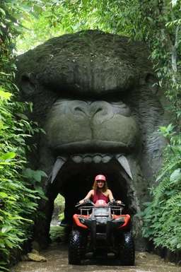 Charter Privat Bali: Bebas Pilih Destinasi di Ubud, Rp 125.000