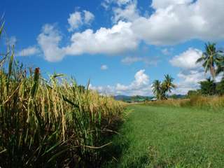 Flavours of Langkawi