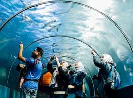 COMBO: Underwater World Langkawi + Crocodile Adventureland