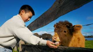 Phillip Island 3 Park Pass