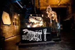 Yilan｜Suao Robert Y Ruin Tyrannosaurus Museum Package, SGD 9