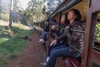 Brighton Bathing Boxes, Puffing Billy Steam Train & Penguin Parade -1 Day (Chinese Speaking Guide)