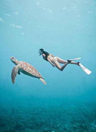 Bali Snorkeling Blue Lagoon and Tanjung Jepun Spots, THB 381.57