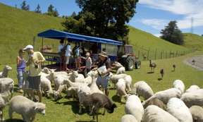 Agrodome Farm Experience | New Zealand