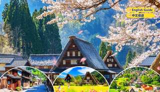 Shirakawa-go Day Tour from Nagoya: Hida Takayama, Gassho Village & Shiroyama Tenshukaku Observation Deck (Hotel Transfer Optional)
