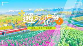 [Group of 1] Hokkaido One-day Tour｜Shikisai no Oka, Biei Blue Pond, Furano｜Buffet Lunch + Free Ice Cream + Ride the NOROCCO to journey through the sea of flowers.