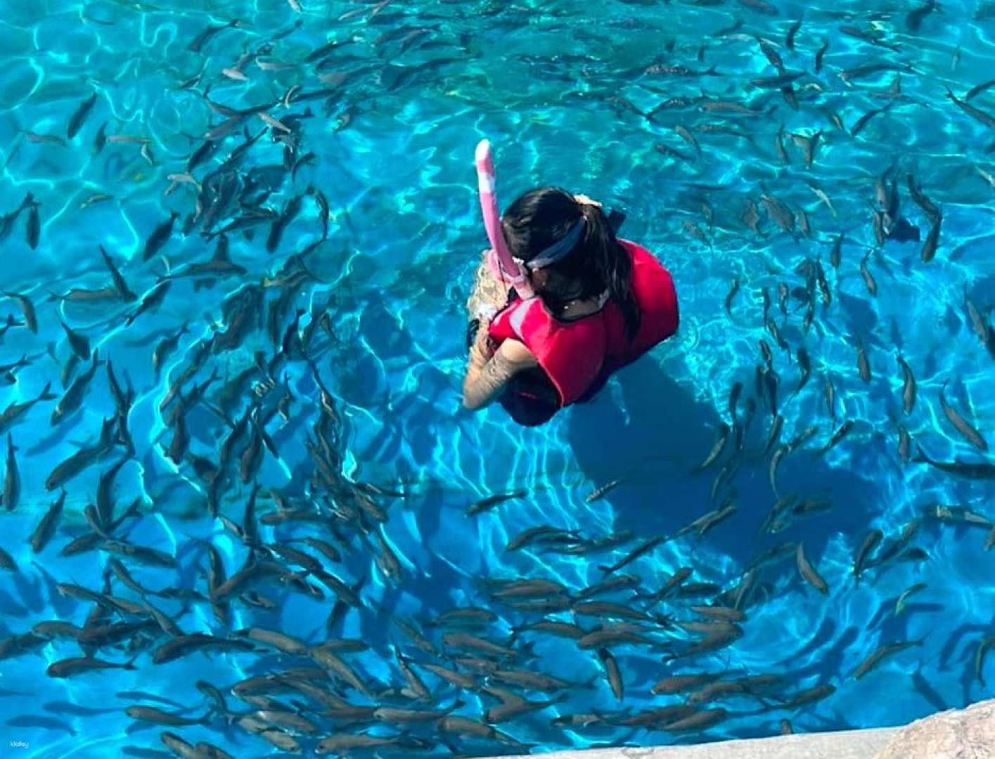 langkawi-marine-park-admission-malaysia-tickets-december-2024