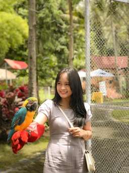 Akbar Zoo Banyuwangi, Rp 25.000