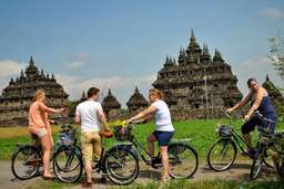 Yogyakarta: Prambanan to Plaosan Morning Cycle , USD 106.76