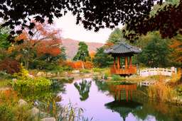 Nami Island, Petite France, Italian Village, and Garden of Morning Calm Tour from Seoul, Rp 1.150.134