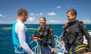 Port Douglas Great Barrier Reef Dive & Snorkel Tour