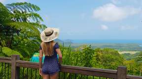 Cape Tribulation and Daintree Wilderness Tour