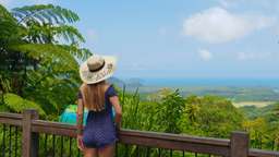 Cape Tribulation and Daintree Wilderness Tour, RM 743.86