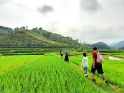 Private Trekking Cigombong, 2-3 jam, Rp 200.000