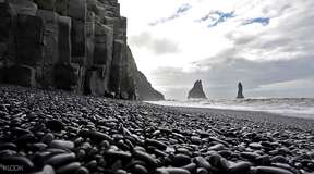 Wild South Coast - Waterfalls, Black Beach, and Glacier Hike from Reykjavik