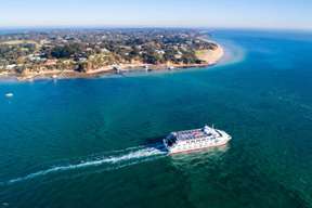 【10th Anniversary｜15% off 】Mornington Peninsula Sightseeing & Bay Cruise Tour from Melbourne | Victoria