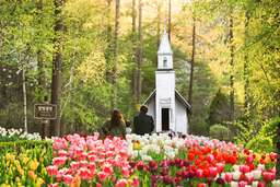 Nami Island, RailBike & Garden of Morning Calm - Day Tour by S. A. Tour, VND 1.344.252