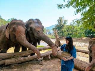 Elephant Encounter, ATV Ride & Whitewater Rafting Tour