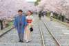 Adorn yourself in exquisite kimonos and stroll beneath the cherry blossom trees