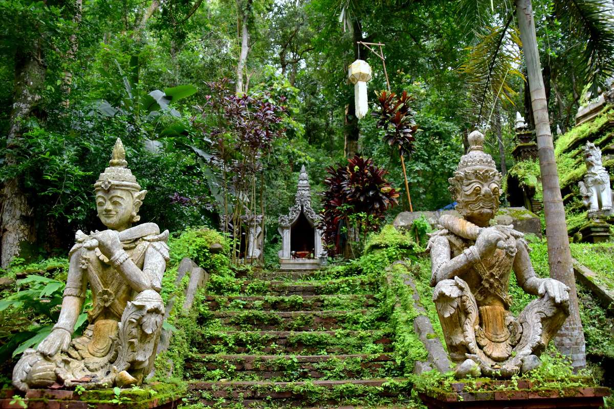 Chiang Mai City Tour : Unveiling Northern Temple Charms - Giá tốt nhất 