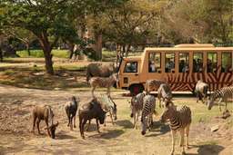 Tour Bali Safari Include Lunch at d'Tukad River Club - Private 8-Hour Tour, 860.316 VND