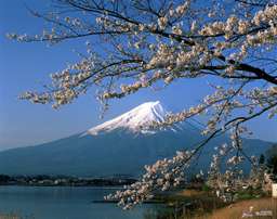 Mount Fuji and Lake Kawaguchi Full-Day Tour from Tokyo with Cable Car Ride, THB 1,790.41