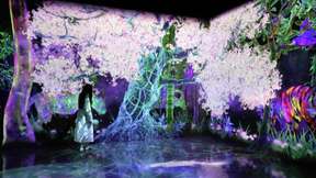 teamLab Forest Fukuoka