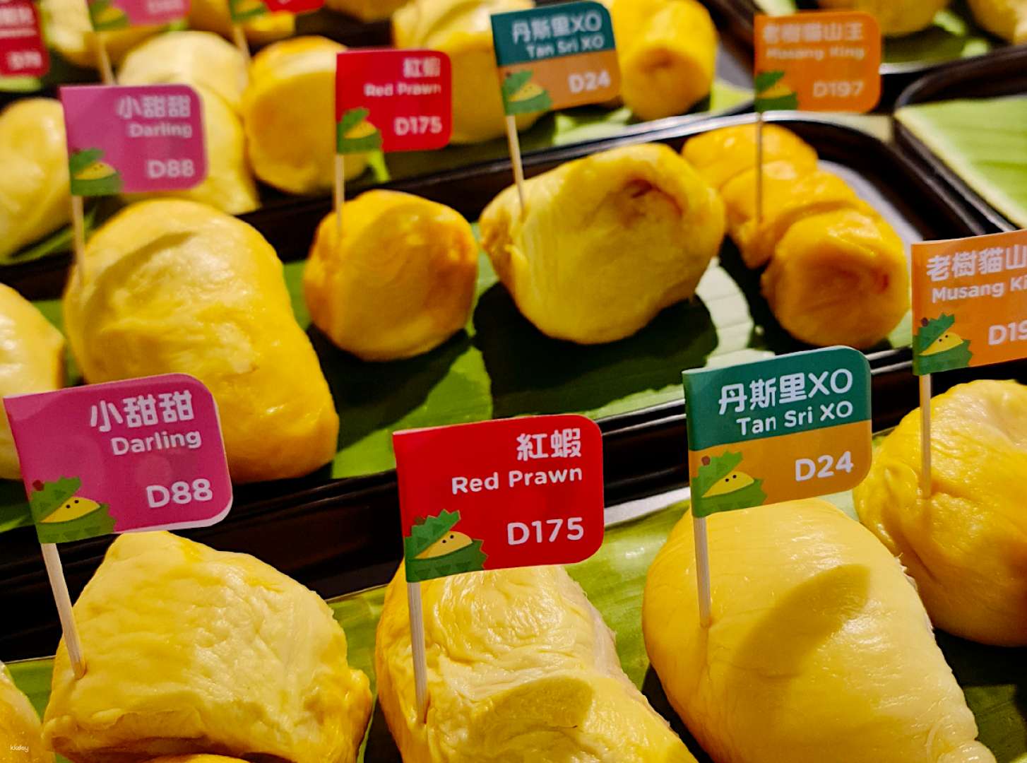 buy-singapore-food-festival-2023-durianbb-master-class-tickets