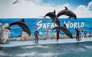 Bangkok Safari World Private x Botanist Activity Space or Chocolate Ville and Café & JODD Fair - 1 Day