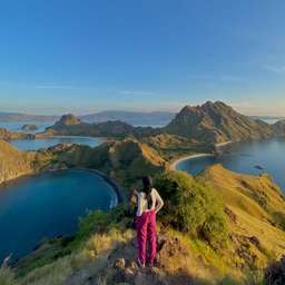 From Labuan Bajo: Komodo Island Sailing Day Trip with Open Deck Boat, Rp 900.000